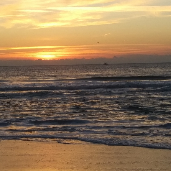 POSH AMBASSADOR!!!!!😍✌💞👍😁👏💙 - Picture 3 of 8